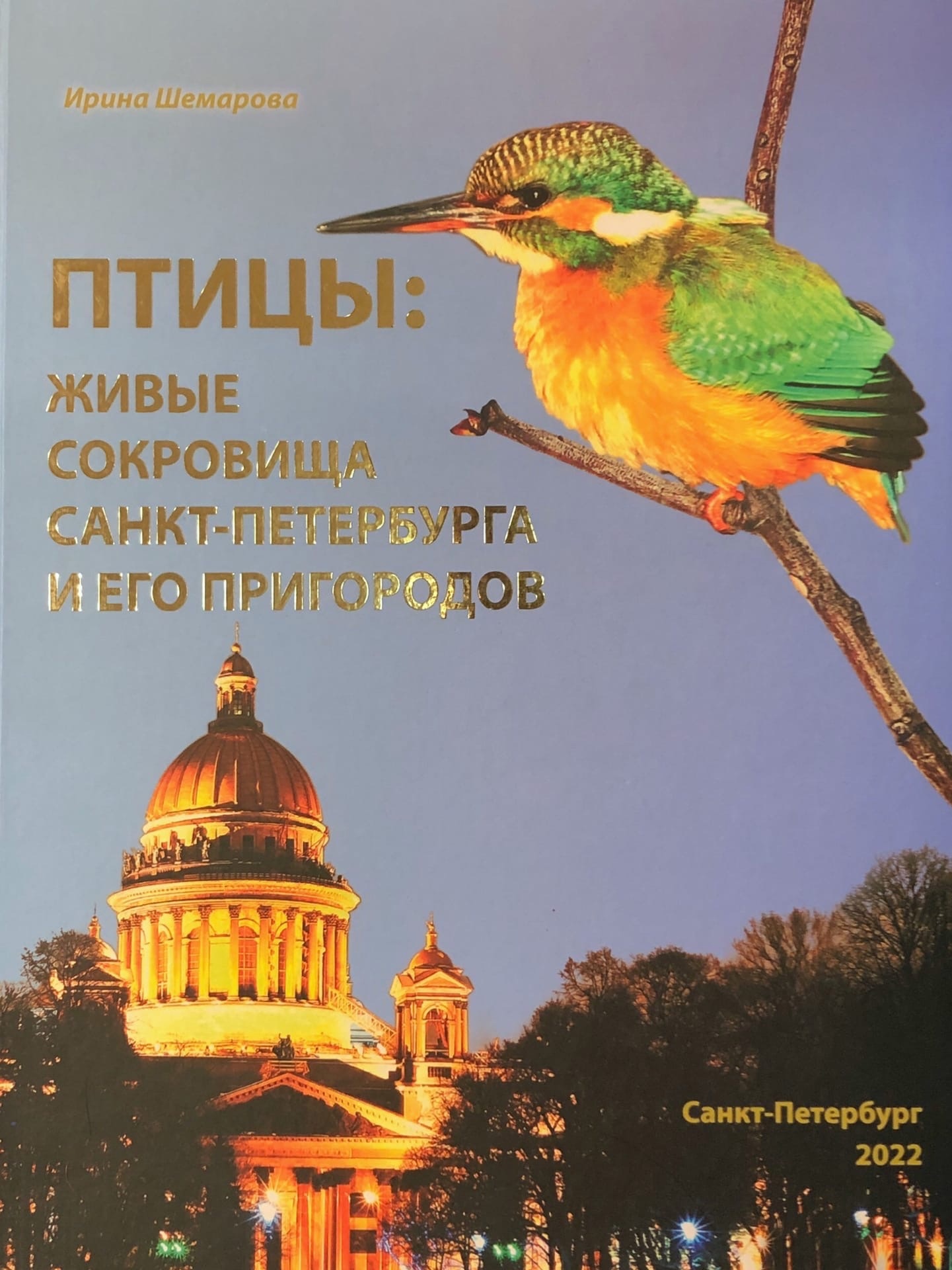 Птицы в санкт петербурге название