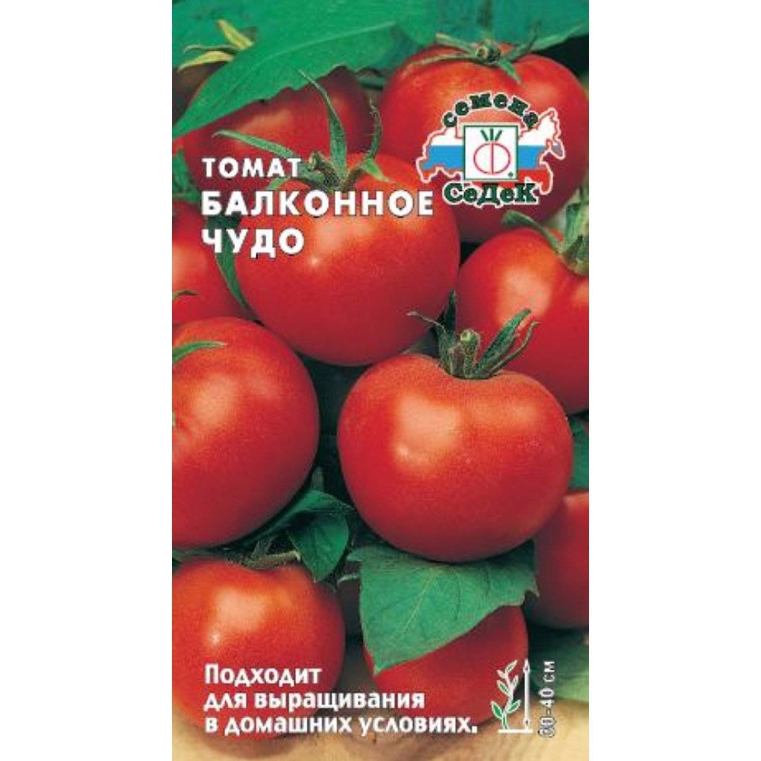 Балконное Чудо Помидоры Купить Семена В Москве
