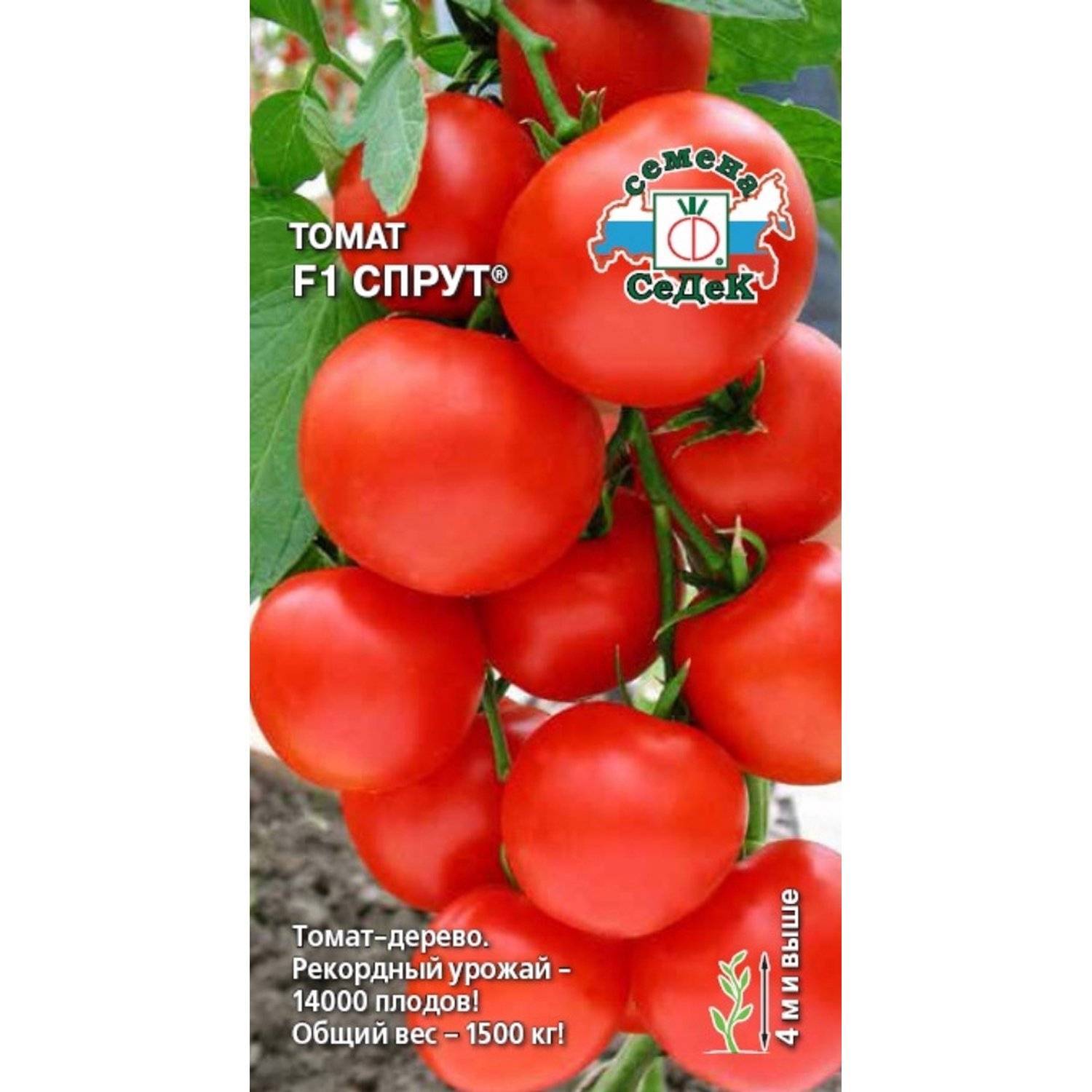 Семена томат Спрут f1